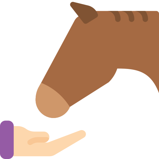 Försäkring för häst